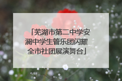 芜湖市第二中学安澜中学生管乐团闪耀全市社团展演舞台