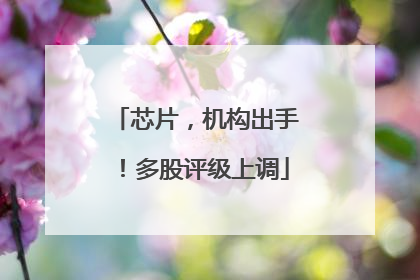 芯片，机构出手！多股评级上调