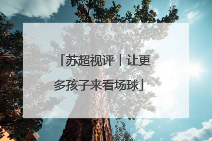 苏超视评︱让更多孩子来看场球