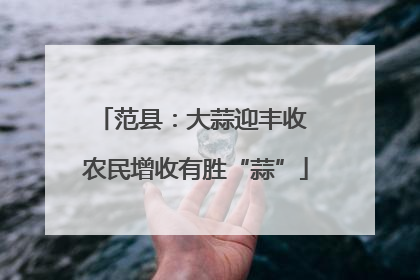 范县：大蒜迎丰收 农民增收有胜“蒜”