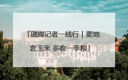 融媒记者一线行｜麦地套玉米 多收一季粮