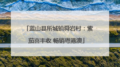 蓝山县所城镇舜岩村：紫茄喜丰收 畅销粤港澳