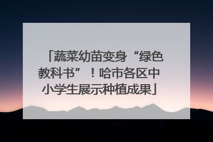 蔬菜幼苗变身“绿色教科书”！哈市各区中小学生展示种植成果