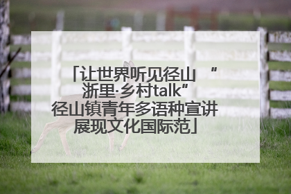 让世界听见径山 “浙里·乡村talk”径山镇青年多语种宣讲展现文化国际范