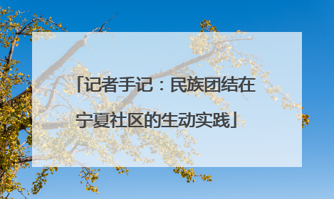 记者手记：民族团结在宁夏社区的生动实践