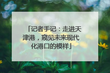 记者手记：走进天津港，窥见未来现代化港口的模样