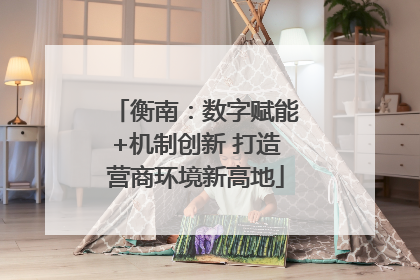 衡南：数字赋能+机制创新 打造营商环境新高地