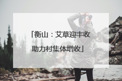 衡山：艾草迎丰收 助力村集体增收