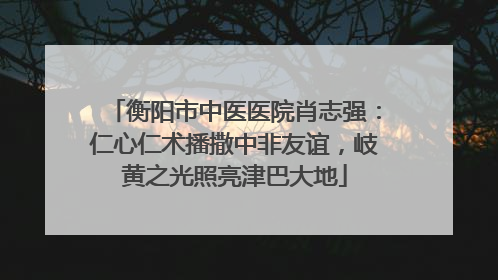 衡阳市中医医院肖志强：仁心仁术播撒中非友谊，岐黄之光照亮津巴大地