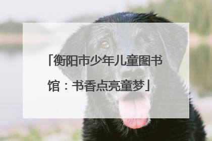 衡阳市少年儿童图书馆：书香点亮童梦