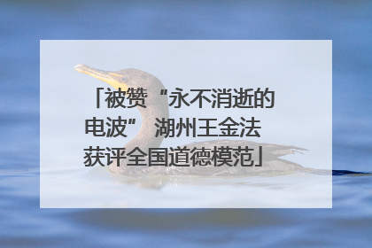 被赞“永不消逝的电波” 湖州王金法获评全国道德模范