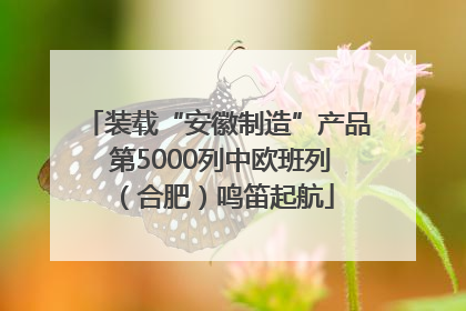 装载“安徽制造”产品 第5000列中欧班列（合肥）鸣笛起航