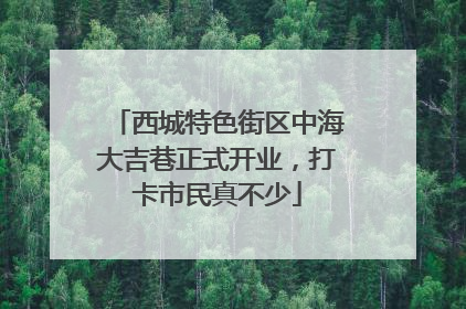 西城特色街区中海大吉巷正式开业，打卡市民真不少
