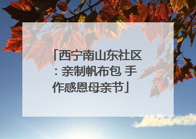 西宁南山东社区：亲制帆布包 手作感恩母亲节