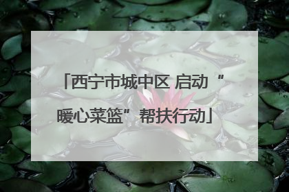 西宁市城中区 启动“暖心菜篮”帮扶行动