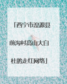 西宁市湟源县前沟村高山大白杜鹃走红网络