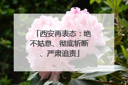 西安再表态：绝不姑息、彻底斩断、严肃追责