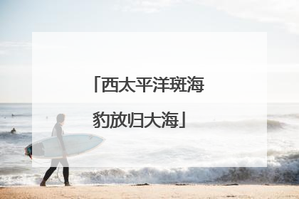 西太平洋斑海豹放归大海