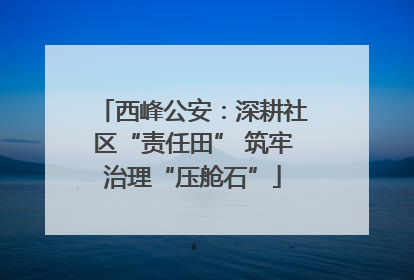 西峰公安：深耕社区“责任田” 筑牢治理“压舱石”