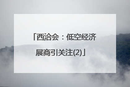西洽会：低空经济展商引关注(2)