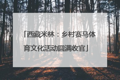 西藏米林：乡村赛马体育文化活动圆满收官