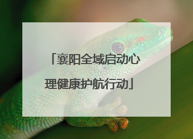 襄阳全域启动心理健康护航行动