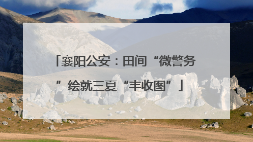 襄阳公安：田间“微警务”绘就三夏“丰收图”