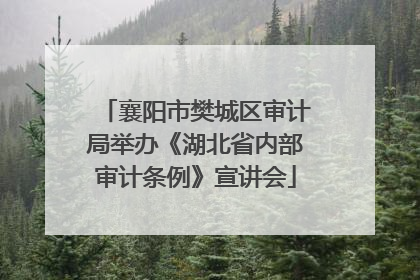 襄阳市樊城区审计局举办《湖北省内部审计条例》宣讲会