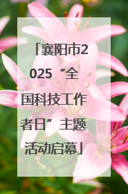 襄阳市2025“全国科技工作者日”主题活动启幕