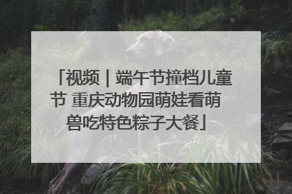 视频｜端午节撞档儿童节 重庆动物园萌娃看萌兽吃特色粽子大餐