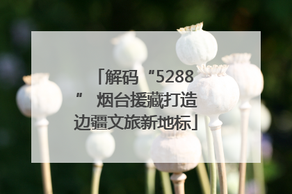 解码“5288” 烟台援藏打造边疆文旅新地标