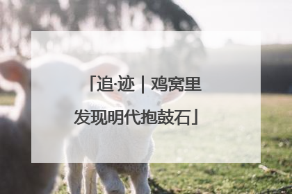 追·迹｜鸡窝里发现明代抱鼓石