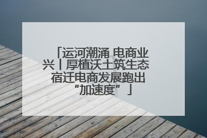 运河潮涌 电商业兴丨厚植沃土筑生态 宿迁电商发展跑出“加速度”