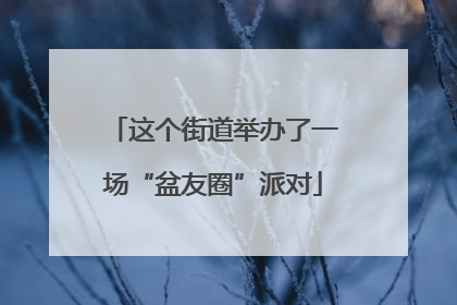 这个街道举办了一场“盆友圈”派对