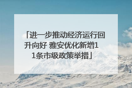 进一步推动经济运行回升向好 雅安优化新增11条市级政策举措