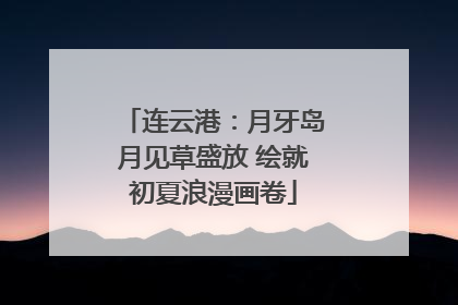 连云港：月牙岛月见草盛放 绘就初夏浪漫画卷