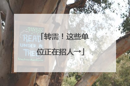 转需!这些单位正在招人→