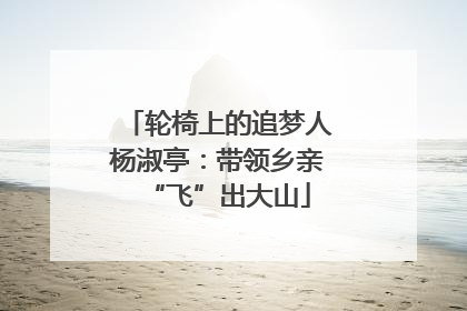 轮椅上的追梦人杨淑亭：带领乡亲“飞”出大山