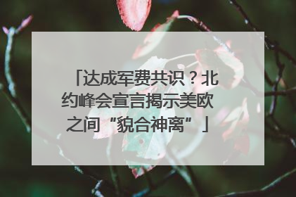 达成军费共识？北约峰会宣言揭示美欧之间“貌合神离”