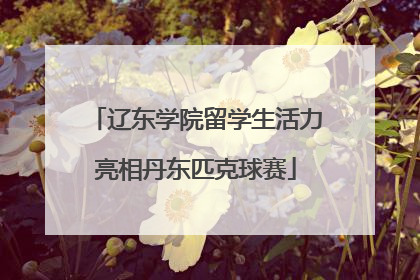 辽东学院留学生活力亮相丹东匹克球赛