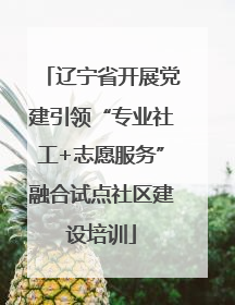 辽宁省开展党建引领“专业社工+志愿服务”融合试点社区建设培训