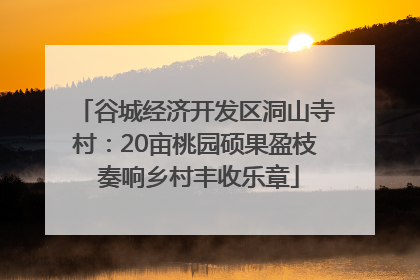 谷城经济开发区洞山寺村：20亩桃园硕果盈枝 奏响乡村丰收乐章