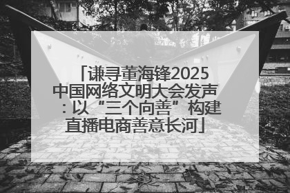 谦寻董海锋2025中国网络文明大会发声：以“三个向善”构建直播电商善意长河