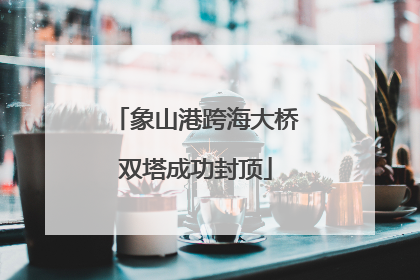 象山港跨海大桥双塔成功封顶
