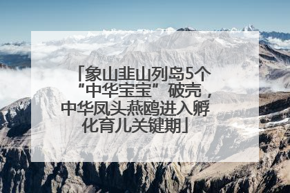 象山韭山列岛5个“中华宝宝”破壳，中华凤头燕鸥进入孵化育儿关键期
