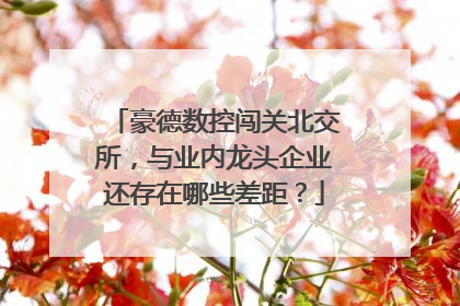 豪德数控闯关北交所，与业内龙头企业还存在哪些差距？