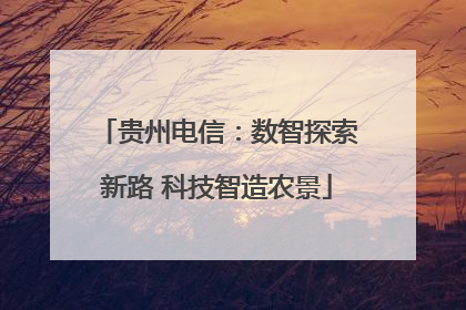 贵州电信：数智探索新路 科技智造农景