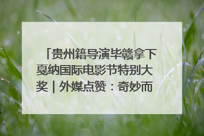 贵州籍导演毕赣拿下戛纳国际电影节特别大奖｜外媒点赞：奇妙而广阔的纯粹电影梦