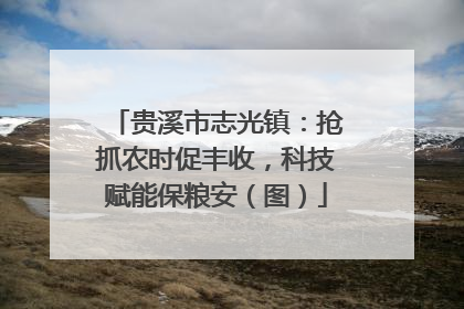 贵溪市志光镇：抢抓农时促丰收，科技赋能保粮安（图）