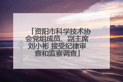 资阳市科学技术协会党组成员、副主席刘小彬 接受纪律审查和监察调查